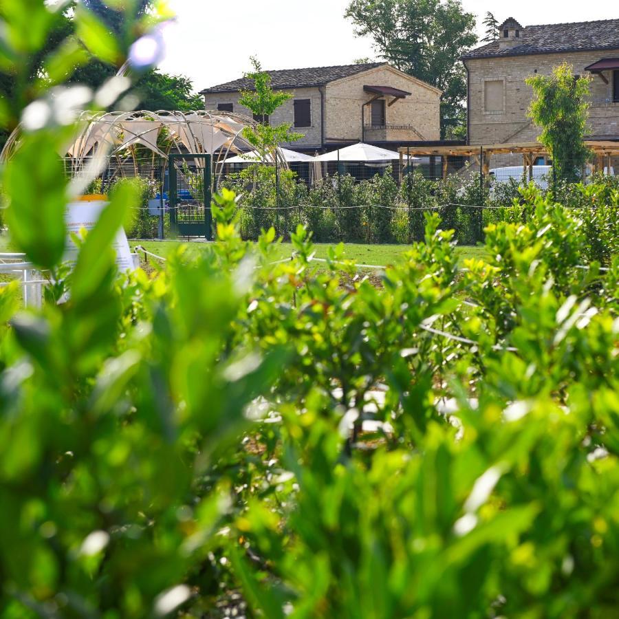 Moretti Village - B&B Civitanova Marche Eksteriør bilde